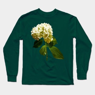 Hydrangeas - Single White Hydrangea Long Sleeve T-Shirt